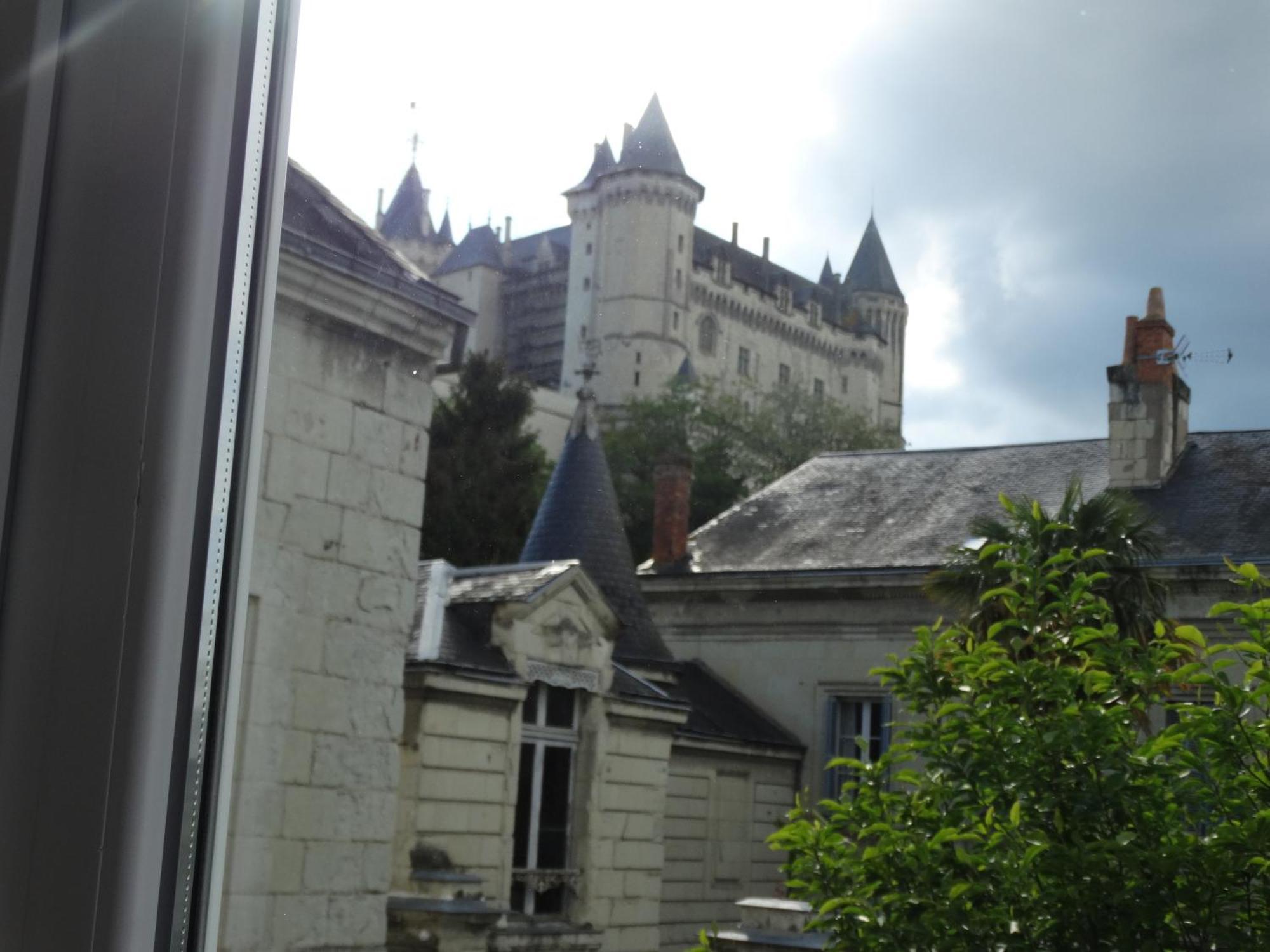 Vue Sur Chateau Et Loire Saumur Bagian luar foto
